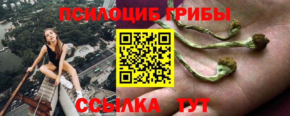 Галлюциногенные грибы MAGIC MUSHROOMS Знаменск