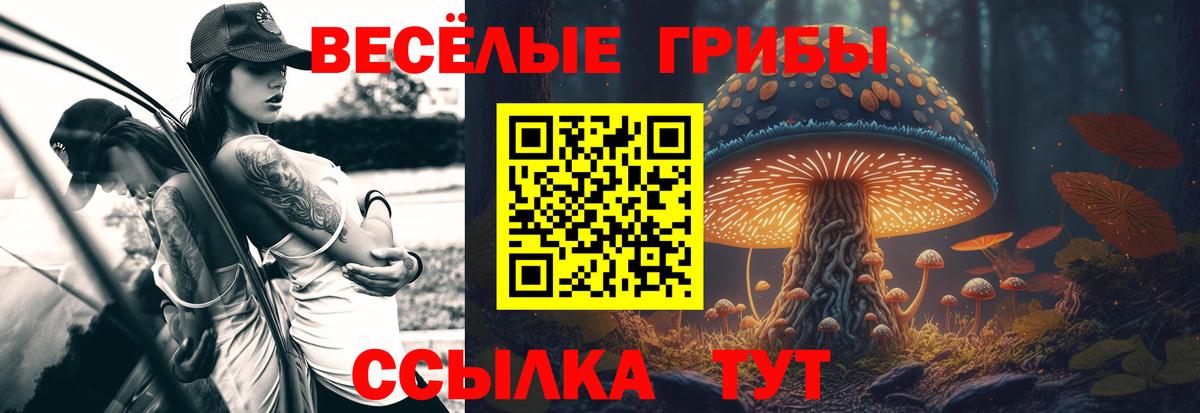 Псилоцибиновые грибы мицелий  где купить   Знаменск  Вход с VPN 